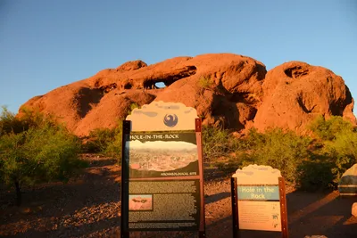 DSC_1439 (Large).JPG